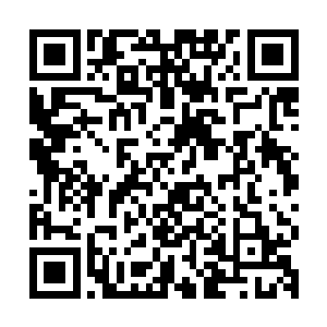 真要想动老弟的人恐怕想想老弟的幻体神脉晚上睡觉都睡不着了二维码生成