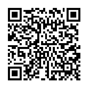 真要是对比一下整个松江市区所有住宅小区周边的绿化率二维码生成