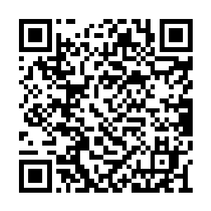 真要沦为最后一个阵营与曲阳和昌西州去做伴了二维码生成