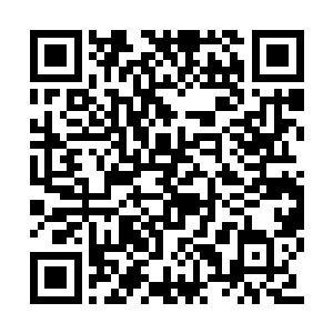 真道宗商定的策略是守住千元山方圆千里的地盘二维码生成