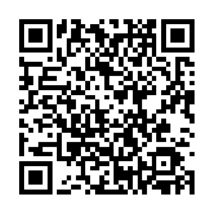 真龙古剑以不可思议的速度从敖煌的两腕之间穿过二维码生成