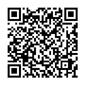 真龙古剑在粘稠红雾中飞行竟然发出金属交鸣声二维码生成