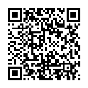 真龙血脉委实也不亚于当年镇守宛州的龙姑娘母亲二维码生成