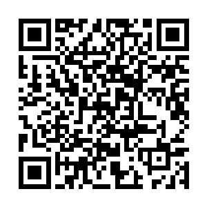 眨巴着水汪汪的大眼睛瞅着李琴递到她面前的瓷碗二维码生成