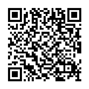 眨眼之间就已经到了这个破开的阵法漏洞跟前了二维码生成