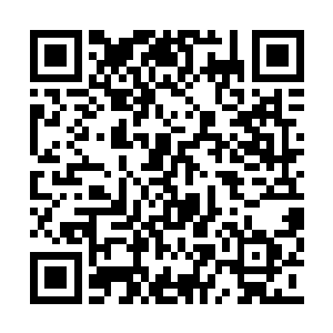 眨眼功夫变成数千公里大小在聂云的力量加持下二维码生成