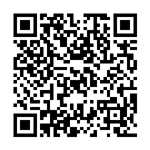 眨眼间便被这一万多条尺许长的三角头怪蛇吞噬个干净二维码生成