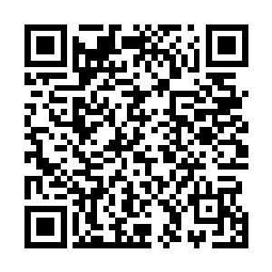 眨眼间就凝聚成一面直径一米的银白色盾牌挡在剑尘身后二维码生成