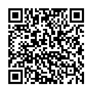 眨眼间直接变成了一个恐怖的直径百米的恐怖的火莲二维码生成