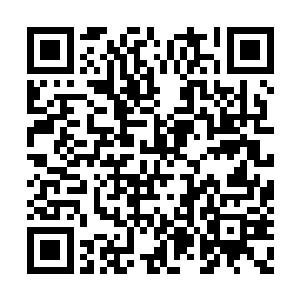 眸中透着当初初次看到易红仙人的那种森冷阴寒二维码生成