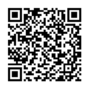 眼下也只能跟着这群地仙继续穿梭在雪地和土地之间二维码生成