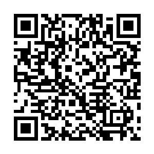 眼下城池当中几乎每一个角落之中都有武修的影子在晃动二维码生成