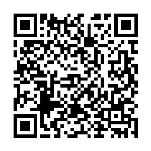 眼下带着有伤的小雪深入龙脊山腹地显然不是明智之举二维码生成