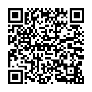 眼下秦师兄和姜离鹤的门下已经开始在各个山峰进行调查二维码生成