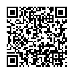 眼下都已经去了城内以大会场为主的各个热闹场所二维码生成