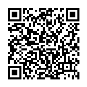 眼前不知道怎的就浮现出了李鸾儿那一派大方的样子二维码生成