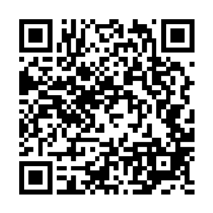眼前之人赫然是之前的时候跟杨正峰在一起的几个长老之一二维码生成