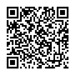 眼前发生的这一幕几乎已经超出了这天罪星费力的常识二维码生成