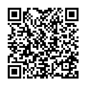 眼前的中年人跟之前死在杨戬手中的烈少掌门有三四分的相似二维码生成