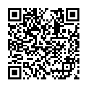 眼前的他就跟个大孩子抱着自己心爱的洋娃娃一样二维码生成