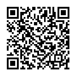 眼前的老者修为足足达到上品武皇后期巅峰之境二维码生成