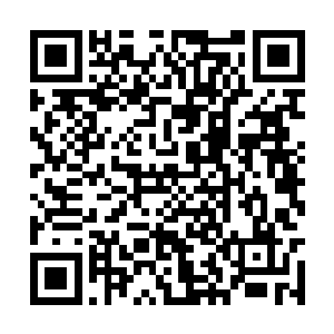 眼前的老者表面上看上去只是一个半神境界的高手二维码生成