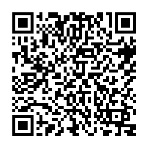 眼前的这两个外宇空间的生灵显然应该就是用特殊的手段穿过了天穹禁制的漏洞二维码生成