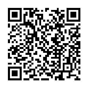 眼前的这个女孩子分明就是披着一张化神期的外衣二维码生成