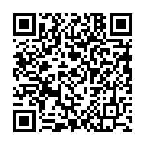 眼前的这个家伙才刚刚踏入半步缔造境没有多长时间二维码生成