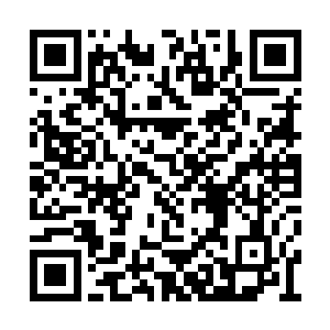 眼前的这个杀手完全是一个矛盾到了几点的人物二维码生成