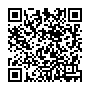 眼前的这个笔记本还是谈薇自己找未来的经纪人老师借的二维码生成