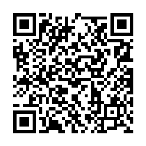 眼前的这个补天石竟然能够每隔百年生出八百莲台二维码生成