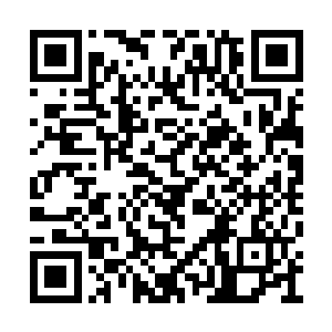 眼前的这个身着青衣的男人却令他百思不得其解二维码生成