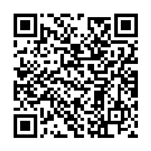 眼前的这个黑岛是他和龙正午一手建立起来的公司二维码生成