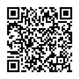 眼前的这大半的空间基本上全都被神晶所占据了二维码生成
