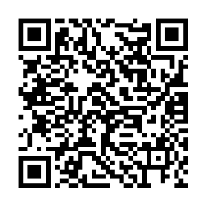 眼前的这怪物身上的气息虽然与其余的恶鬼降类似二维码生成