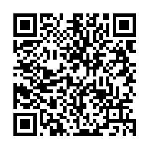 眼前的这恐怖的血色的心脏赫然正是第二步的关键血僵魔胎二维码生成