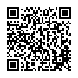 眼前的雷火天莲显然是化生之火跟万雷变融合之后的产物二维码生成