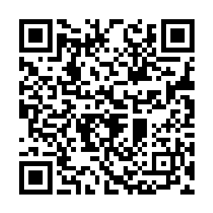 眼前石魔所提供的这一点力量他当然不会放在眼里二维码生成