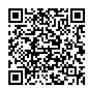 眼前虚幻的世界就像是暴风雨中的蝴蝶般支离破碎二维码生成