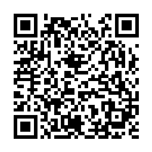 眼前这两百多平米的医院大堂内……已站满了鬼魂二维码生成