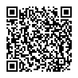 眼前这个人很明显就是一个命运入道且已经修成命运道法的天才人物二维码生成