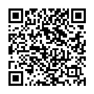 眼前这个吴飞灵和宗伟阳的前妻就是一个模子刻出来的二维码生成