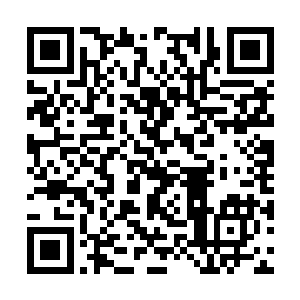 眼前这个家伙到底是从哪来的这么多精血可以燃烧二维码生成