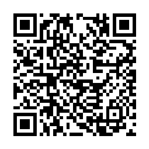 眼前这个小子早已经不再是那个不学无术的废材了二维码生成