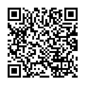 眼前这个年纪和他们差不多大的青年可是赤土十城第一人二维码生成