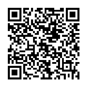 眼前这个看起来身穿着不到五百块的地摊货的小子二维码生成