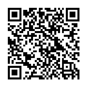 眼前这九鼎轩似乎比自己之前遇到的规格都要高上一些二维码生成