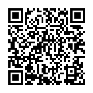 眼前这些偷猎者才是杀害阿库里部落的直接凶手二维码生成