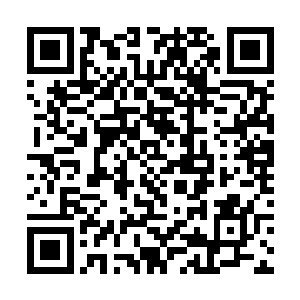 眼前这些妖兽应该是李修义当初从亢龙渊捕捉回来的二维码生成